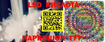 дмт Славгород