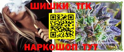 дмт Славгород