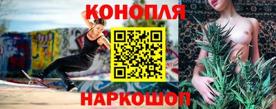 дмт Славгород