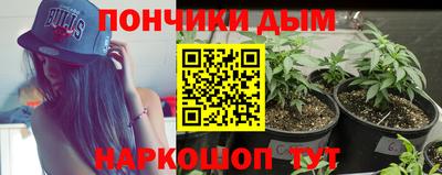 метадон Сланцы