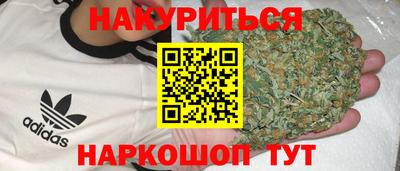 дмт Славгород