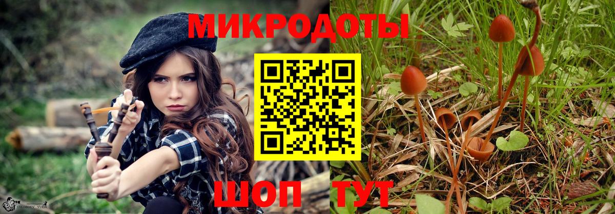 Галлюциногенные грибы MAGIC MUSHROOMS Моздок